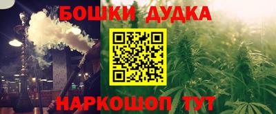 бошки Новодвинск
