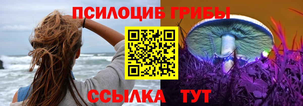 Оренбург  Галлюциногенные грибы мицелий  Вход с VPN  Галлюциногенные грибы прущие грибы 
